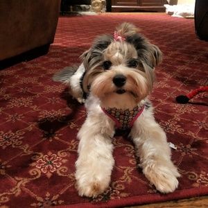 Meet your Posher, Anna Milena